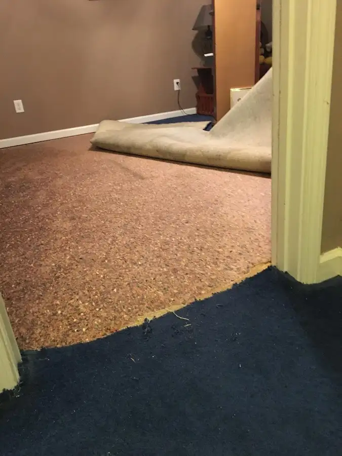 Carpet pad removal revealing water damage during Water Mitigation Services in Upper Deerfield